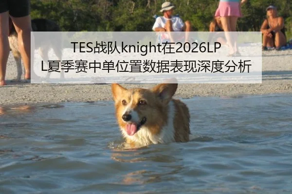 TES战队knight在2026LPL夏季赛中单位置数据表现深度分析