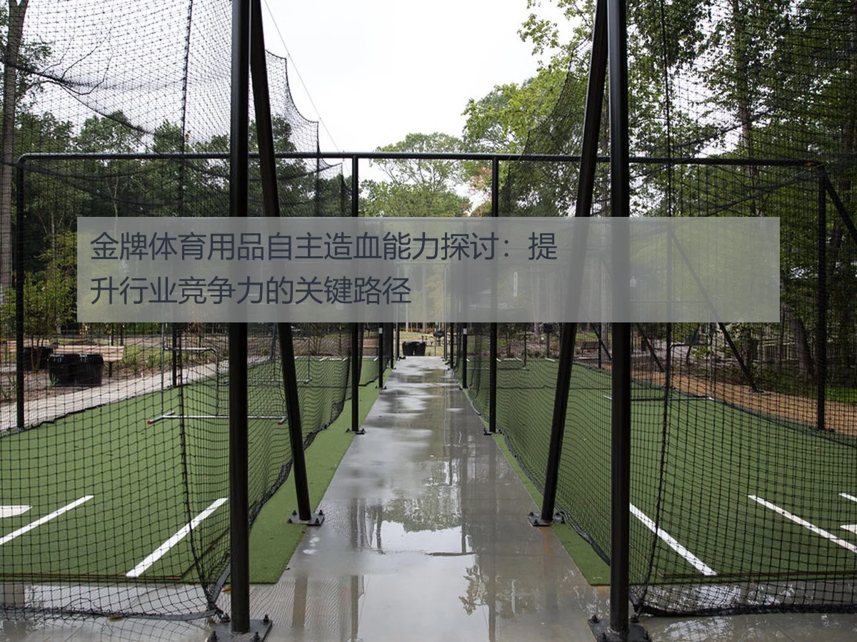 金牌体育用品自主造血能力探讨：提升行业竞争力的关键路径